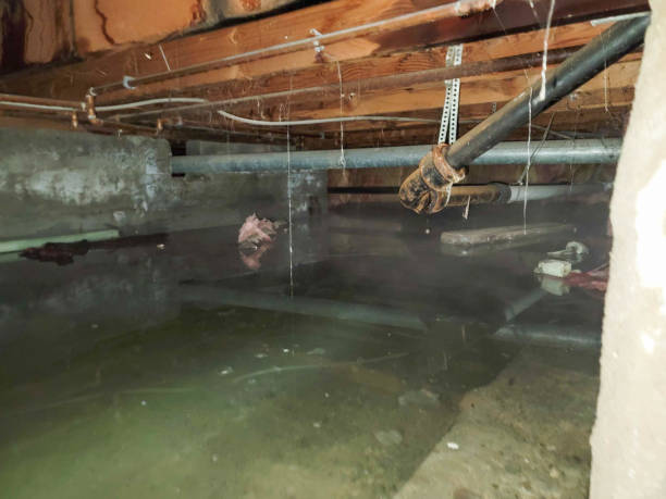 Water damage restoration mold remediation in Paxtonia, PA