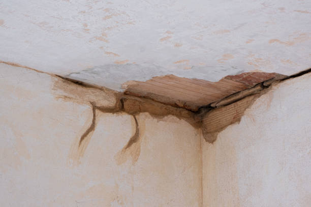 Best Carpet water damage restoration  in Xtonia, PA