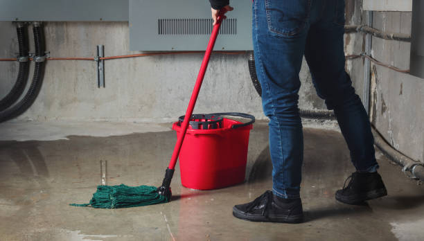 Professional Water damage restoration in Paxtonia, PA