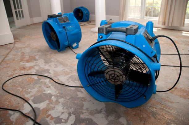 Best Ceiling water damage repair  in Xtonia, PA