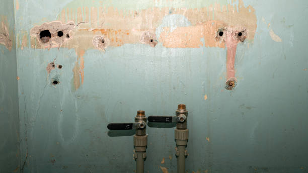 Best Water damage restoration mold remediation  in Xtonia, PA