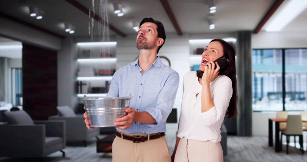 Best Carpet water damage restoration  in Xtonia, PA