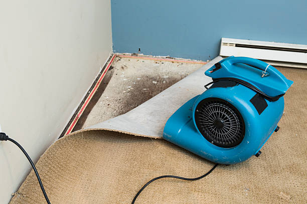 Best Basement water damage restoration  in Xtonia, PA